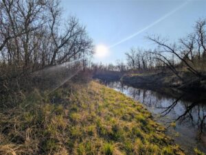 Boggy Creek
